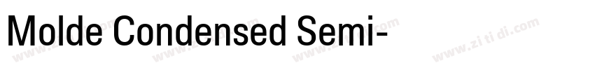 Molde Condensed Semi字体转换